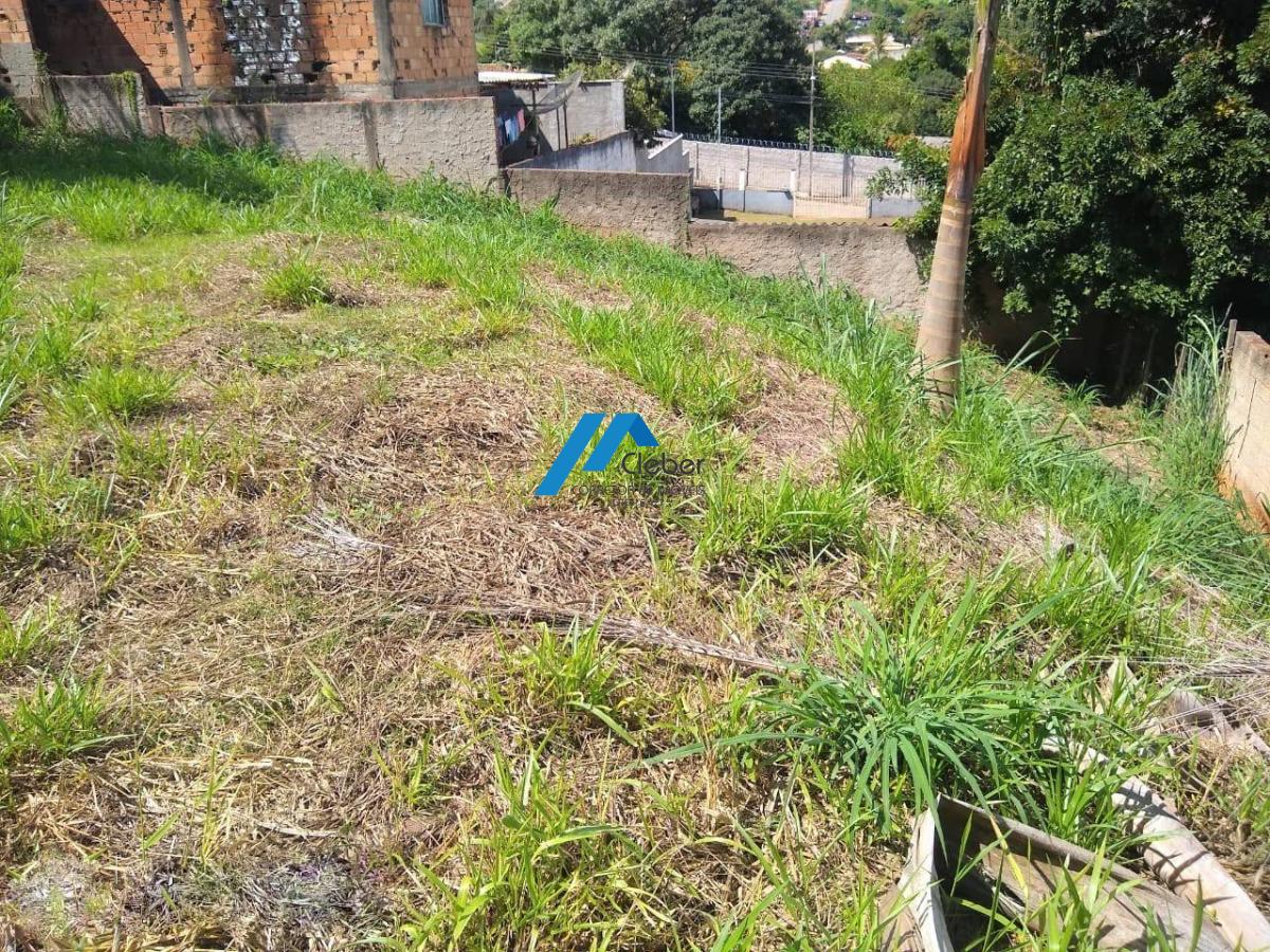 VENDO 2 LOTES JUNTOS TOTALIZAM 592M², ACEITO PERMUTA CARRO OU IMOVEL BH VENDO 2 LOTES JUNTOS TOTALIZAM 592M², ACEITO PERMUTA CARRO OU IMOVEL BH - CLÉBER IMÓVEIS
