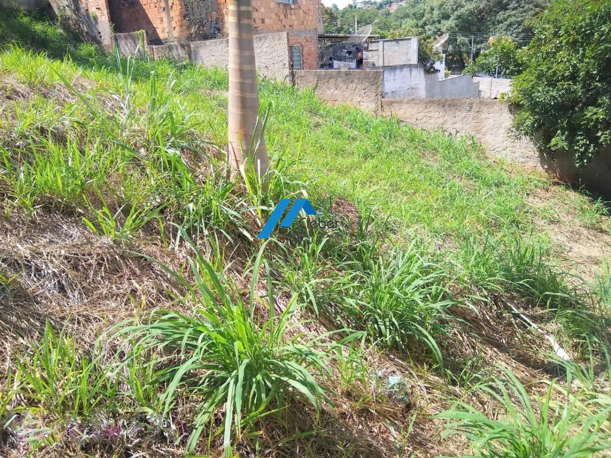 VENDO 2 LOTES JUNTOS TOTALIZAM 592M², ACEITO PERMUTA CARRO OU IMOVEL BH VENDO 2 LOTES JUNTOS TOTALIZAM 592M², ACEITO PERMUTA CARRO OU IMOVEL BH - CLÉBER IMÓVEIS