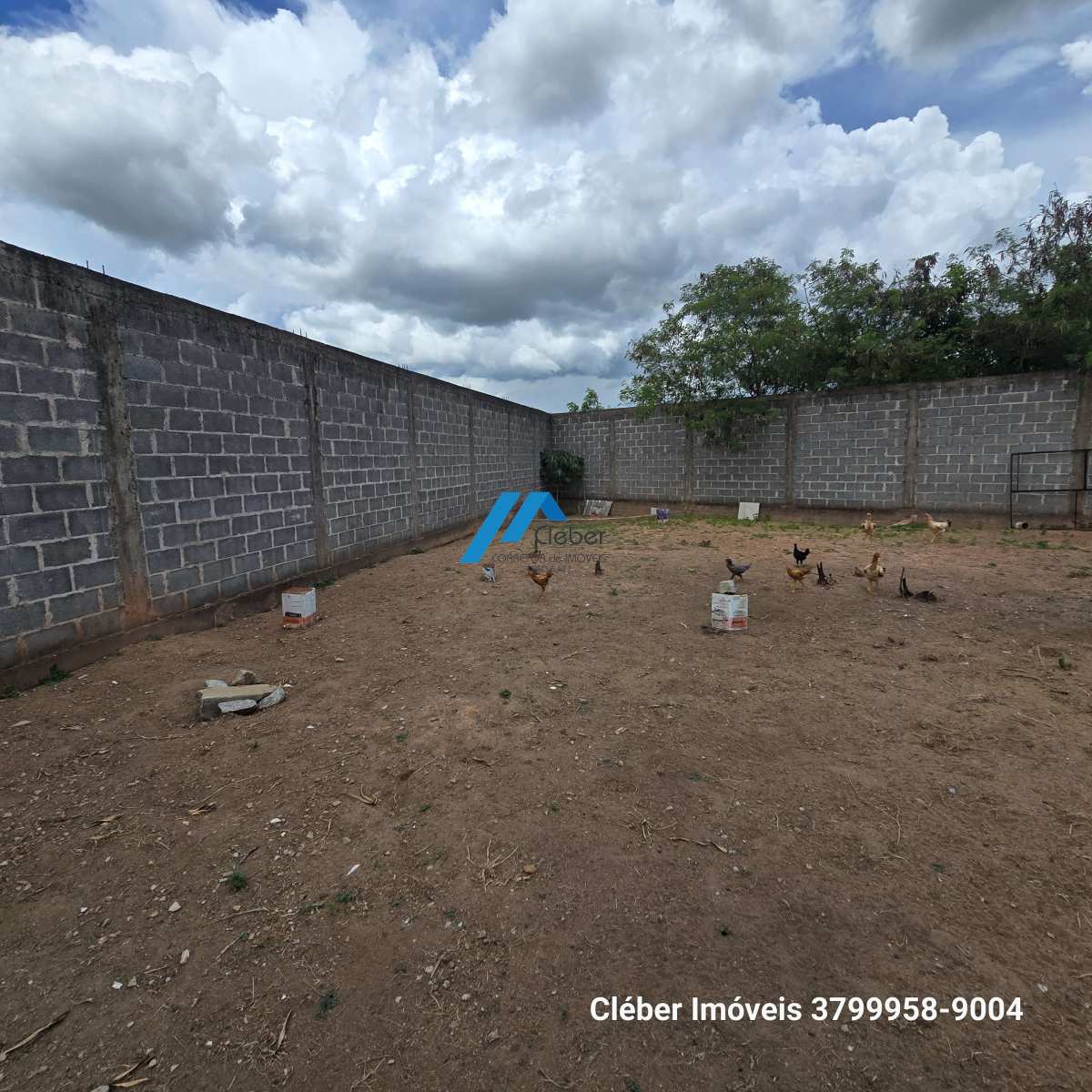 Bairro Gerado Pereira, lote ideal pra galpão, muro estruturado, plano.  Informações ligue 37-99958-9004. - CLÉBER IMÓVEIS