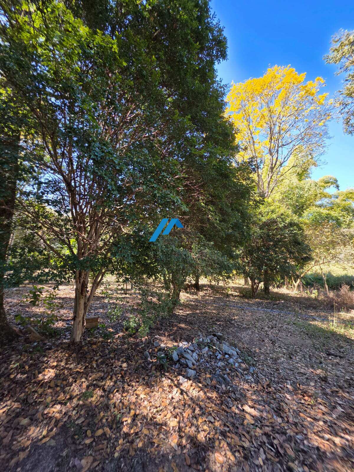 Sítio à venda, com 3 quartos, 10.000m²  proximo  ao Cocuruto Sítio à venda, com 3 quartos, 10.000m²  proximo  ao Cocuruto - CLÉBER IMÓVEIS